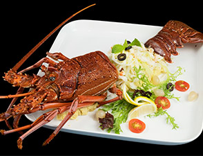 澳洲龙虾肉配鹰嘴豆泥